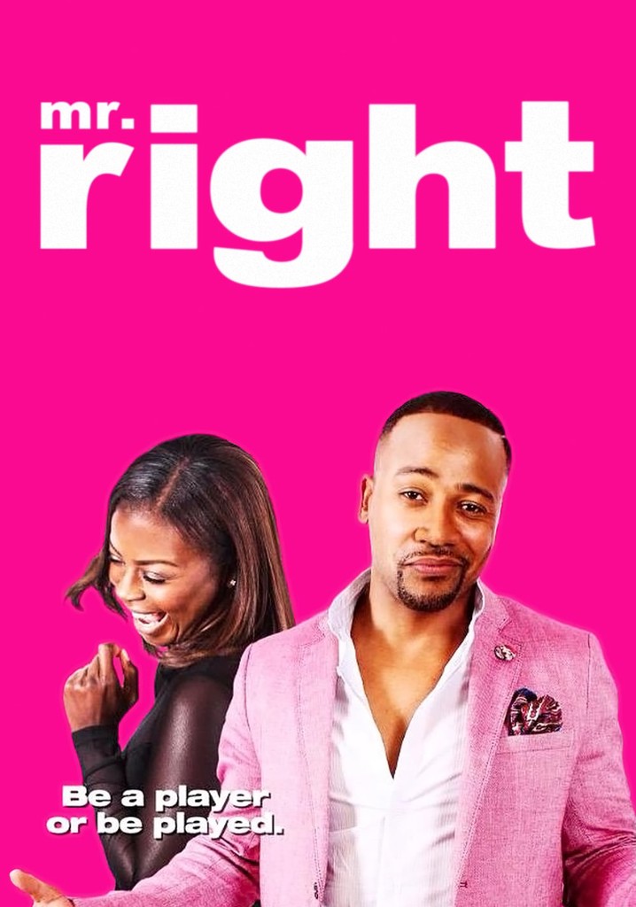 Mr. Right filme Veja onde assistir online